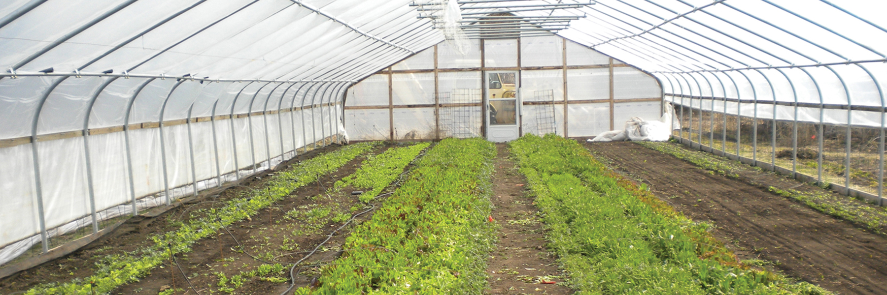 Gothic Cold frame