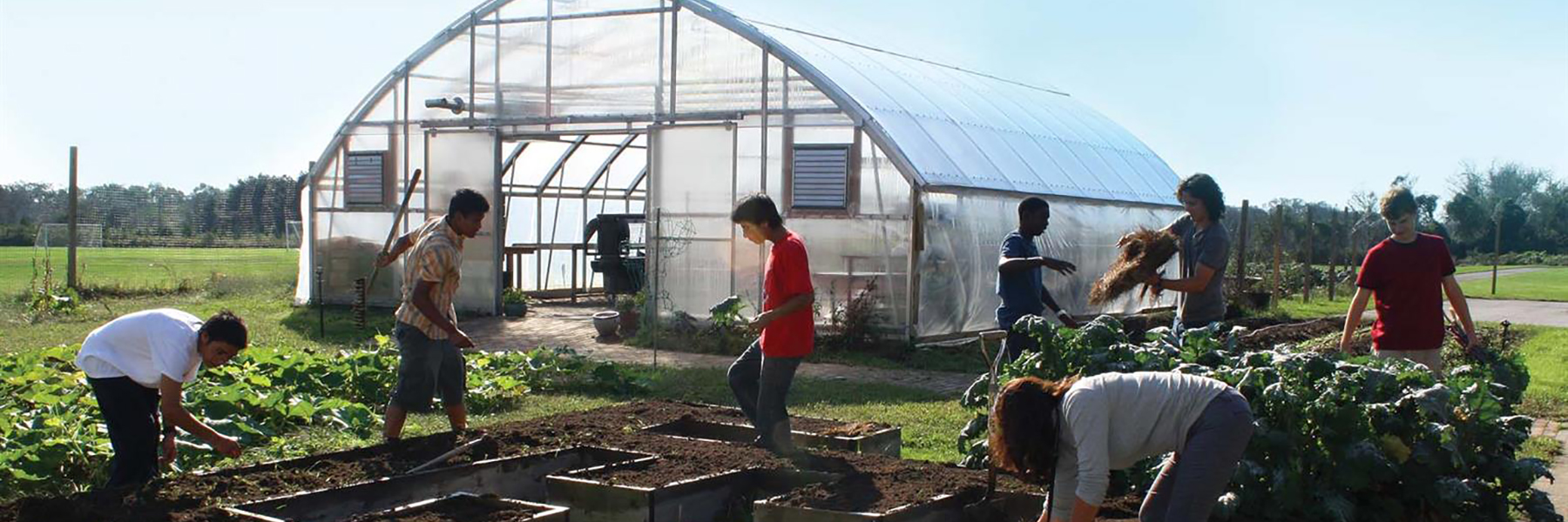 inside professional greenhouse