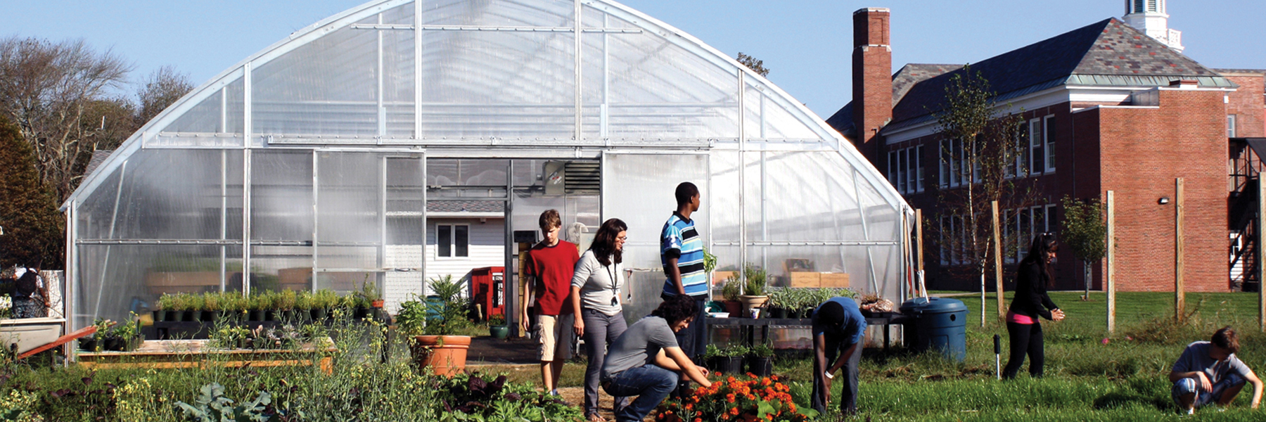 premium greenhouse kit
