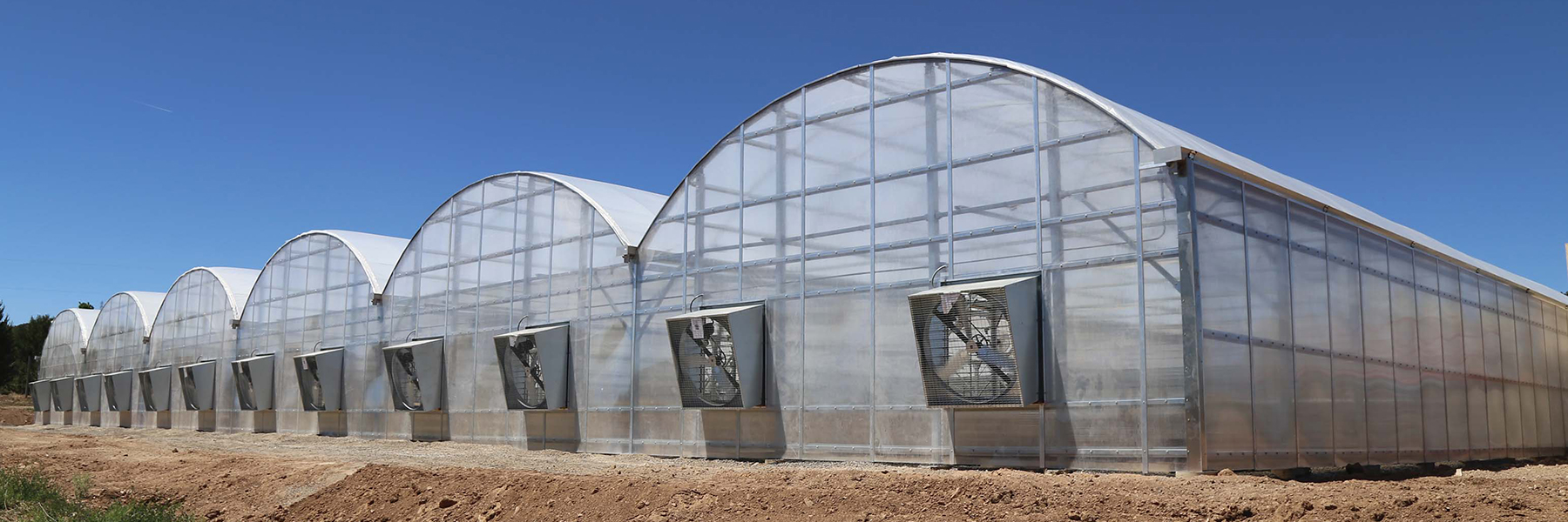 marijuana greenhouse