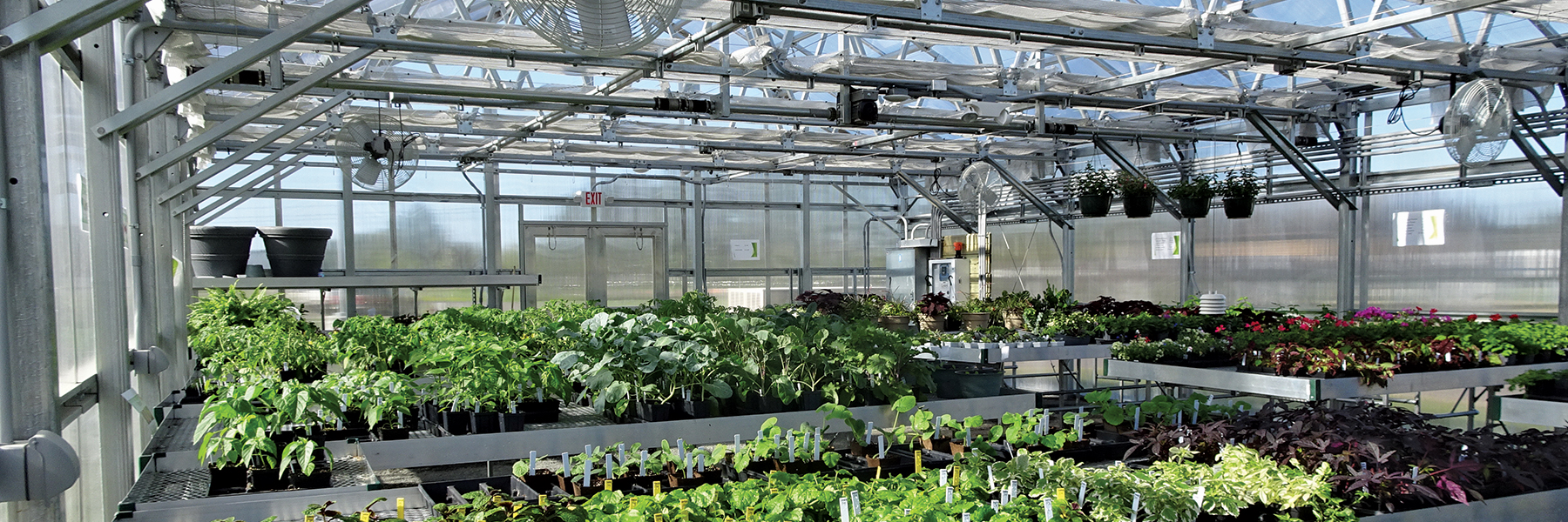 Chippewa valley Greenhouse