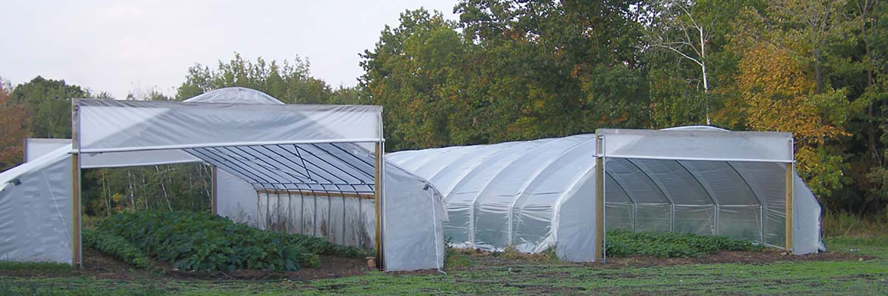 gothic high tunnels