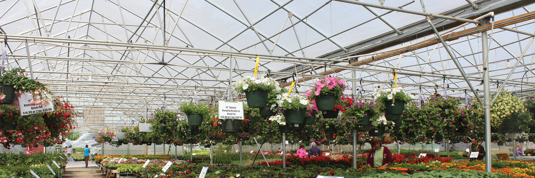 Flower Power Greenhouse