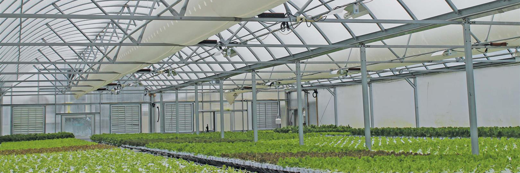 industrial greenhouses