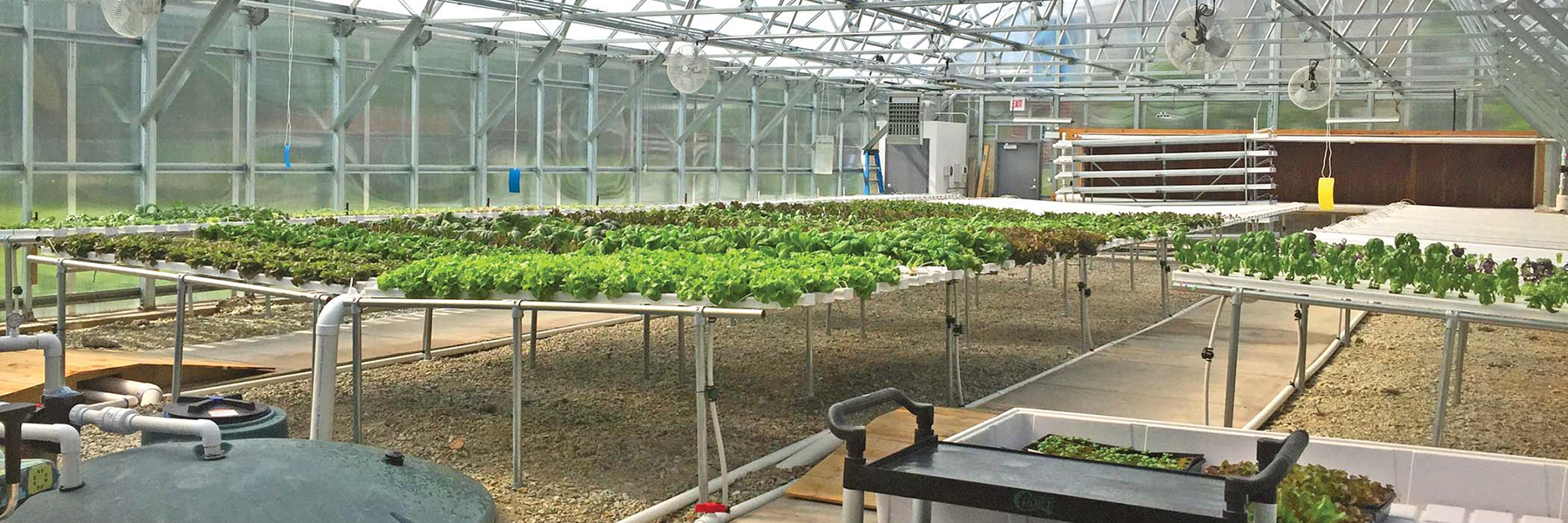 hydroponics growing systems