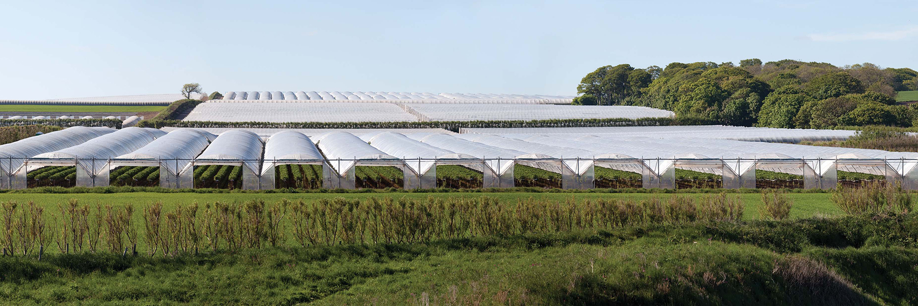 high tunnels
