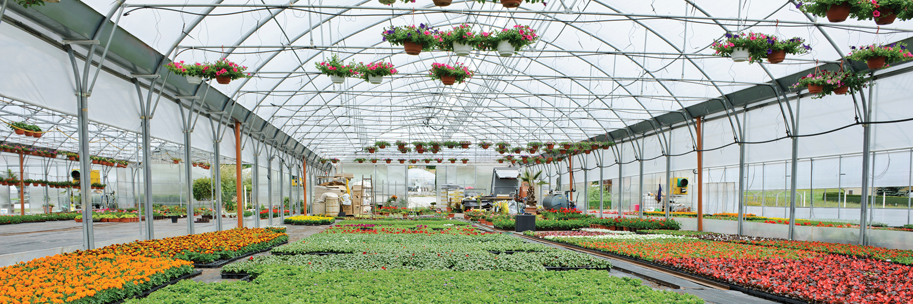 Floral Greenhouse