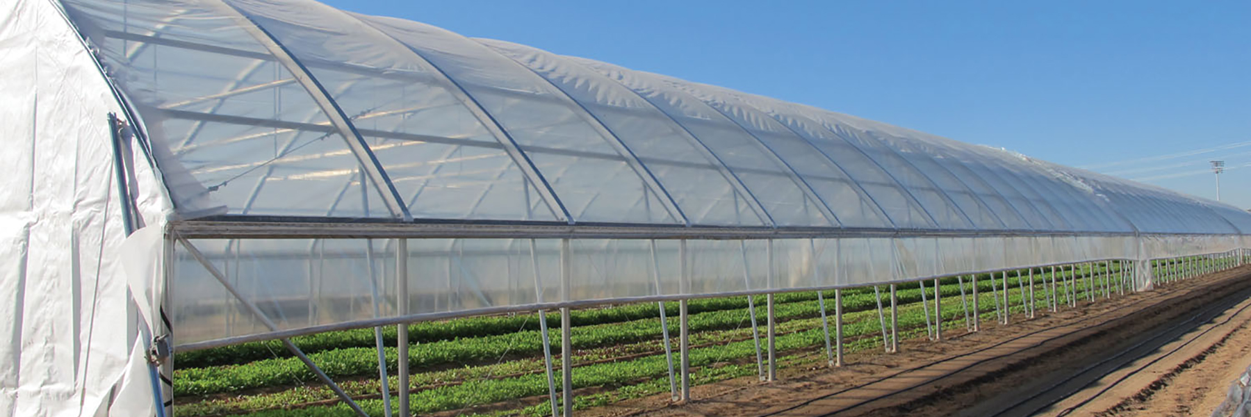 high tunnel ventilation