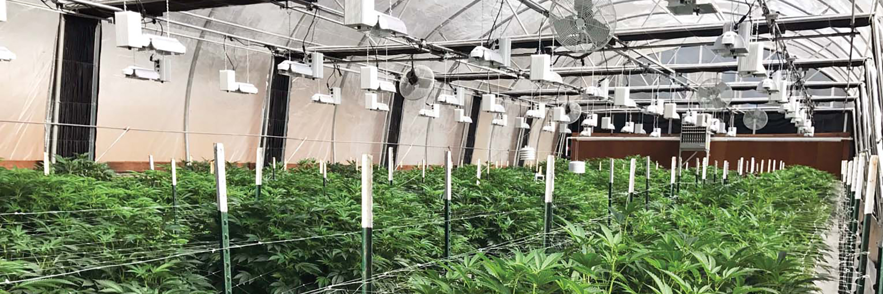 Optimal Growth Interior