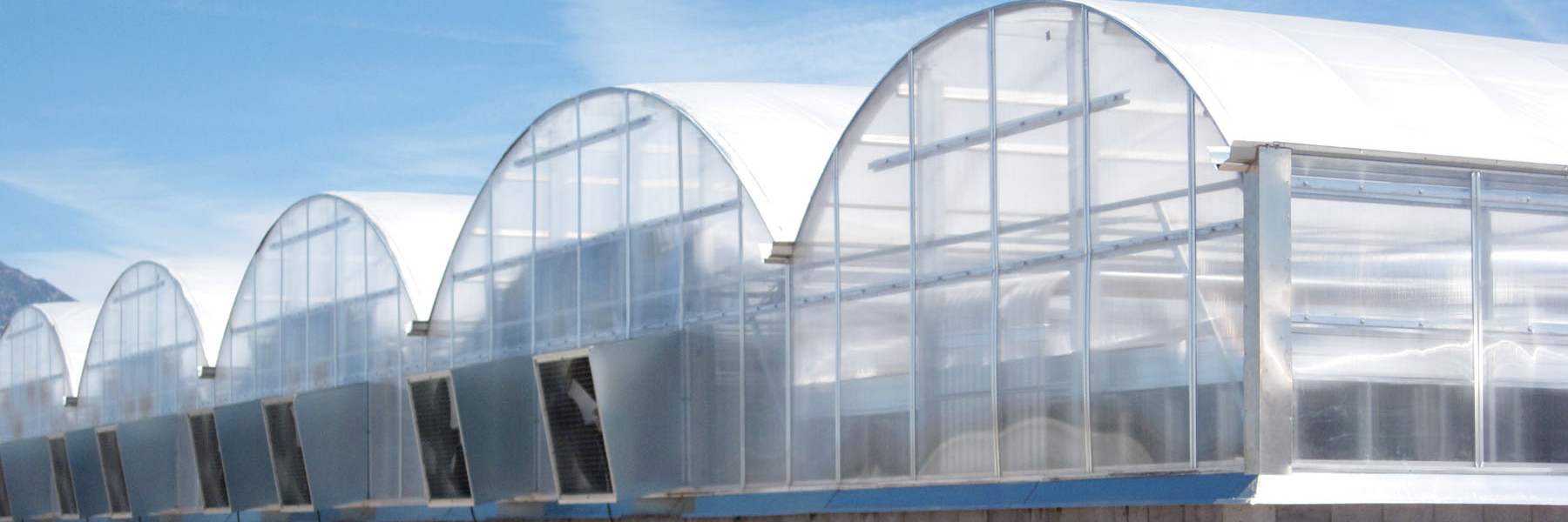 industrial greenhouse growing