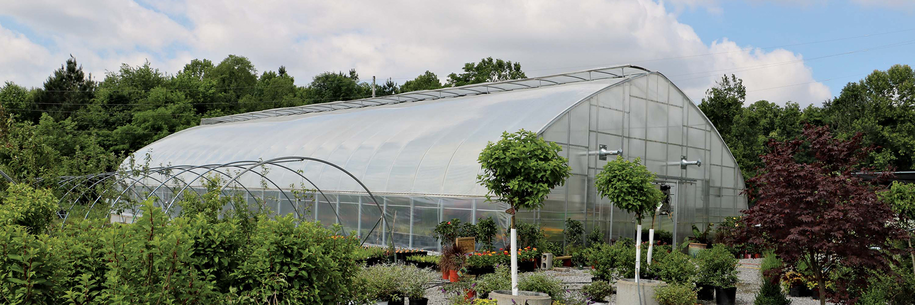 nursery greenhouses