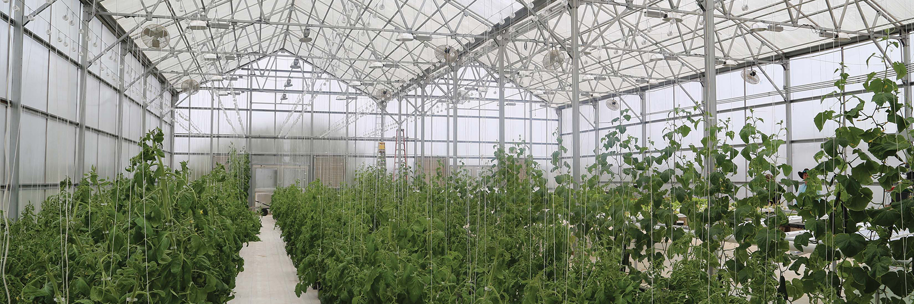 Breckenridge Greenhouse
