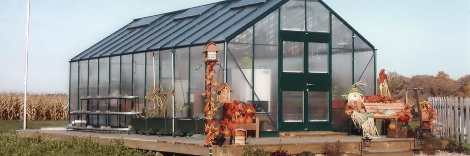 backyard greenhouse