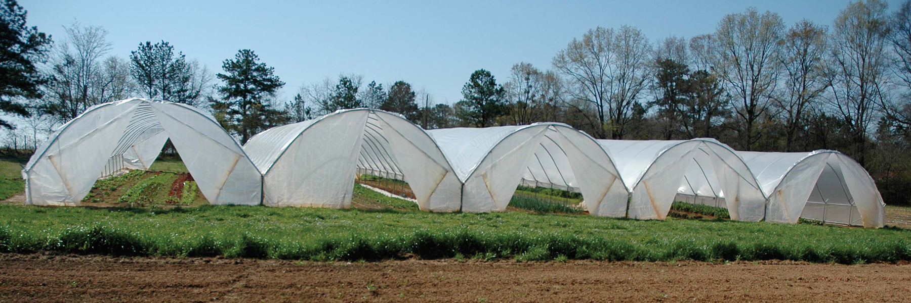 high tunnel greenhouses