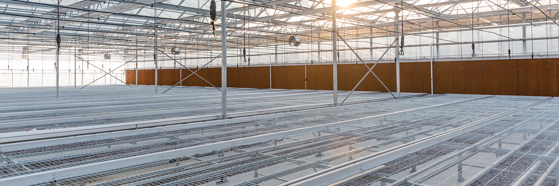 Venlo Greenhouse interior