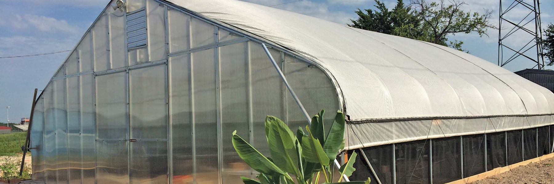 gothic arch greenhouses