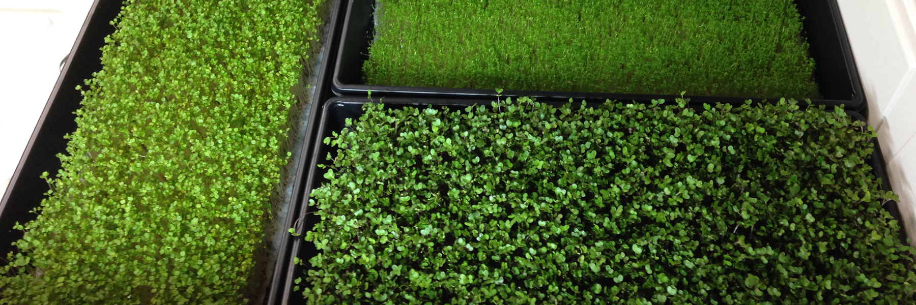 hydroponic accessories