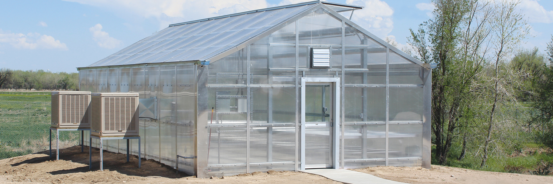 commercial cannabis greenhouse