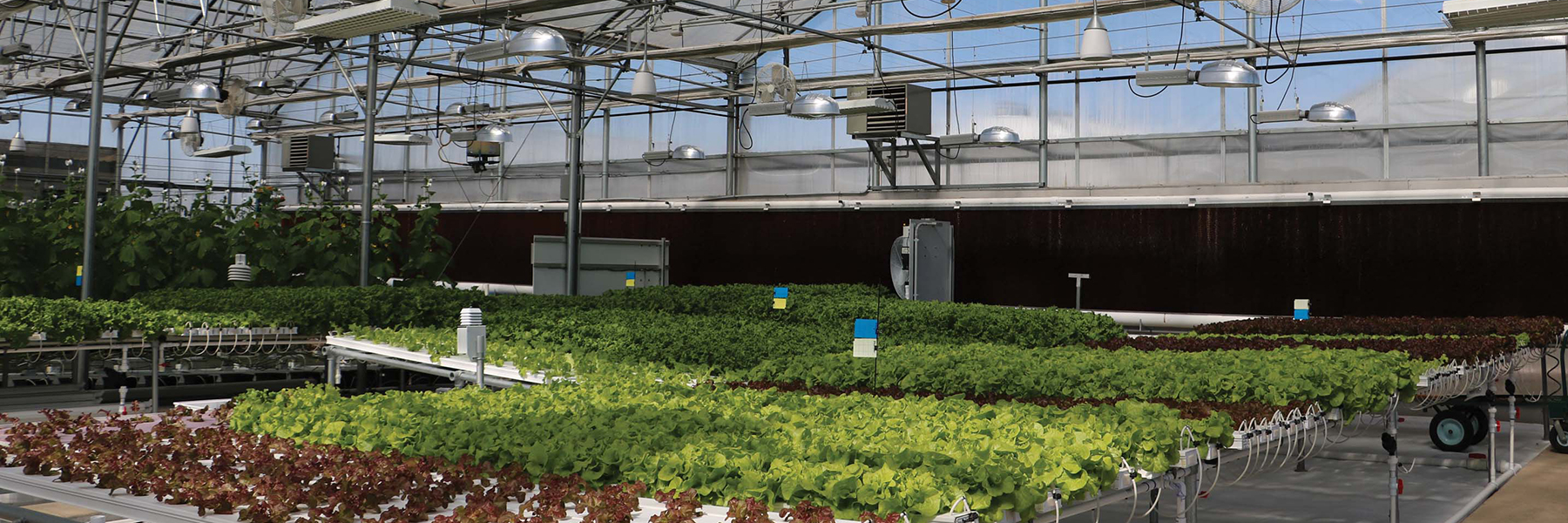 hydroponic systems