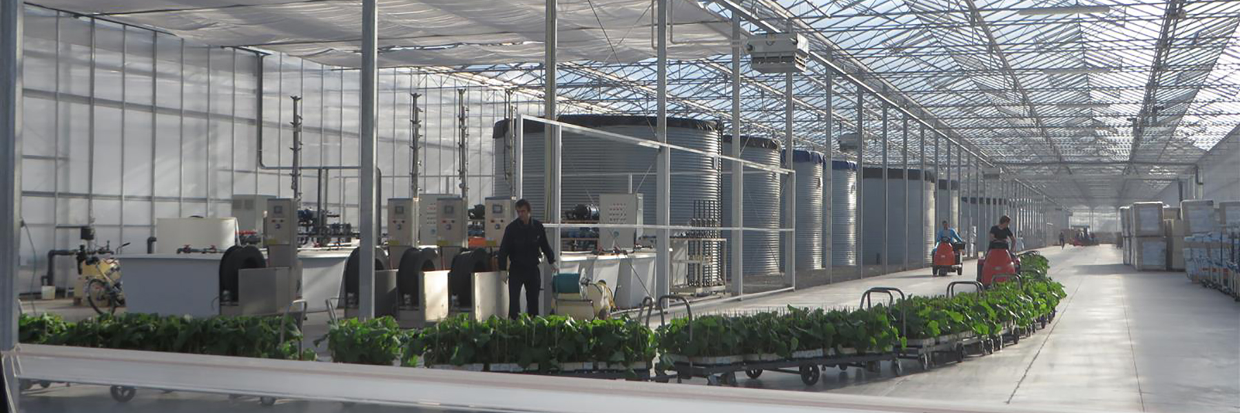 Big Horticulture operation