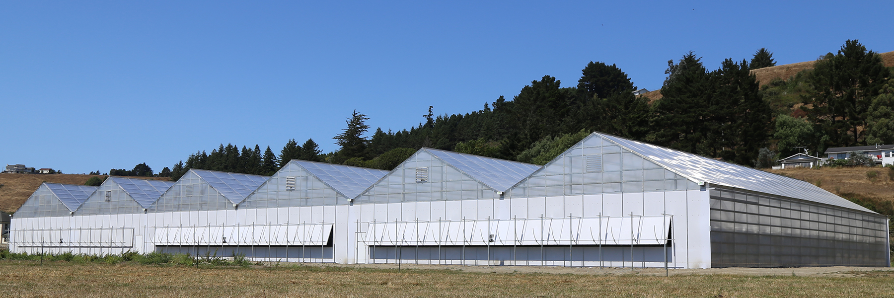 Blackout S2000 Greenhouses