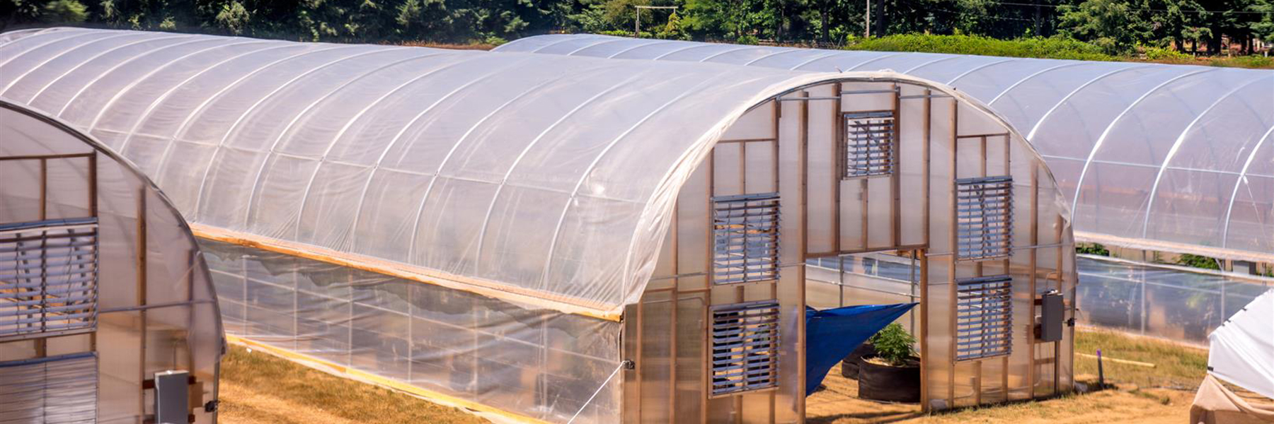 Series 500 Tall Greenhouses GrowSpan