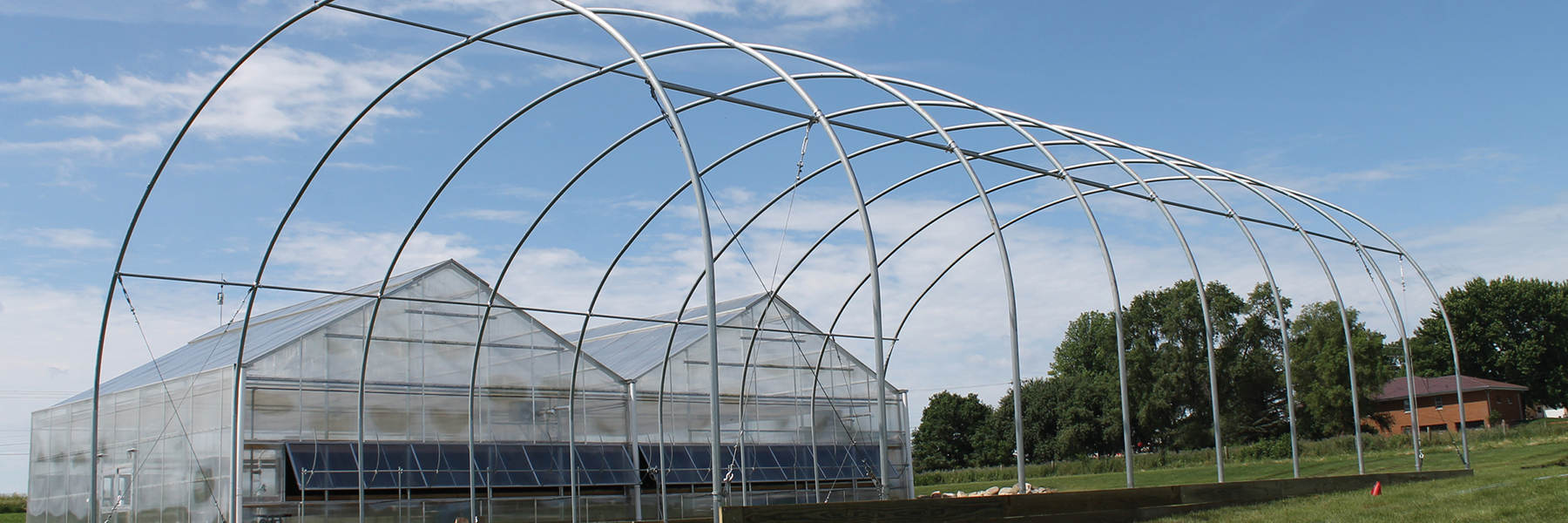 cold frames