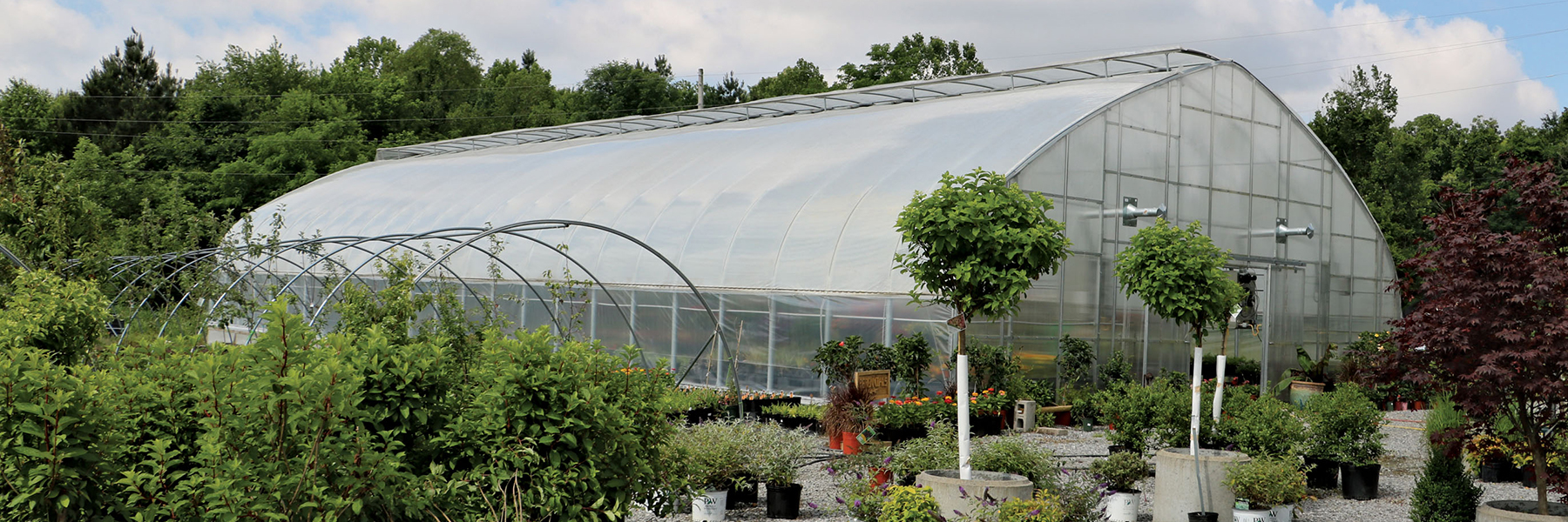 professional greenhouse farm