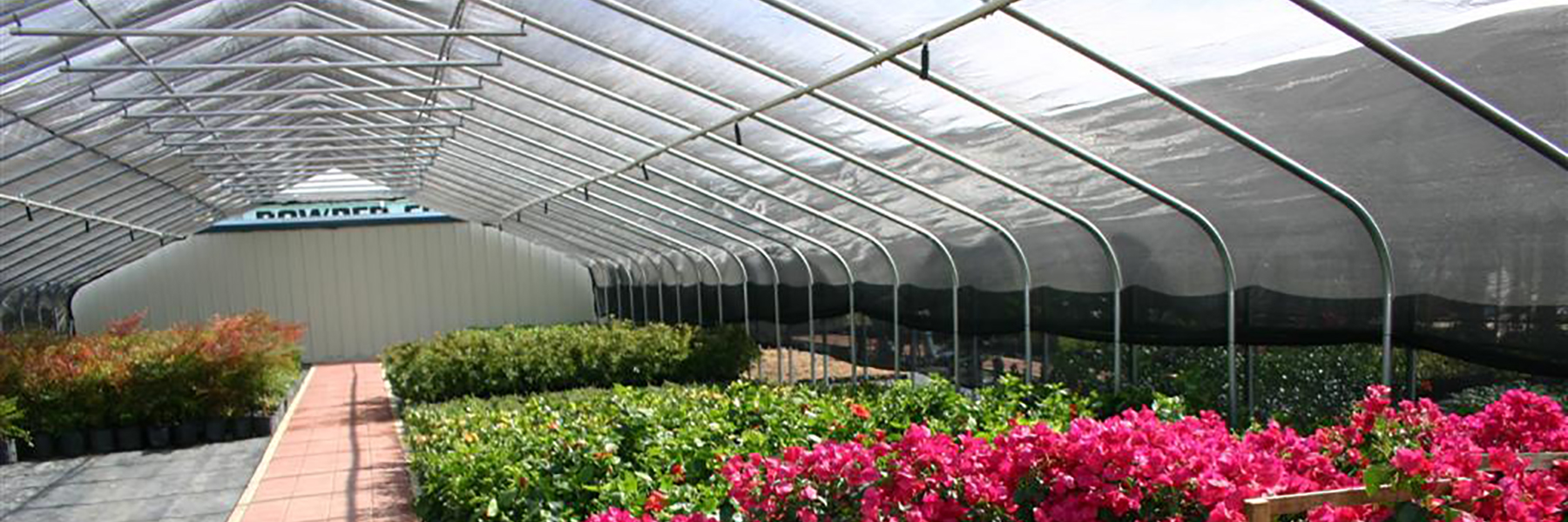 commercial shade house flowers