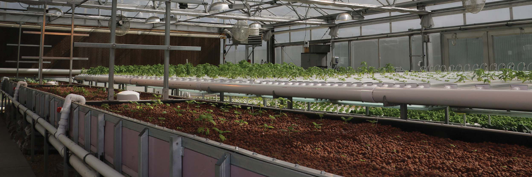 aquaponics systems