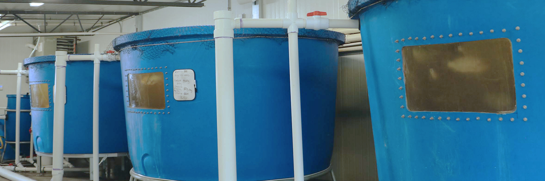 indoor aquaponics system