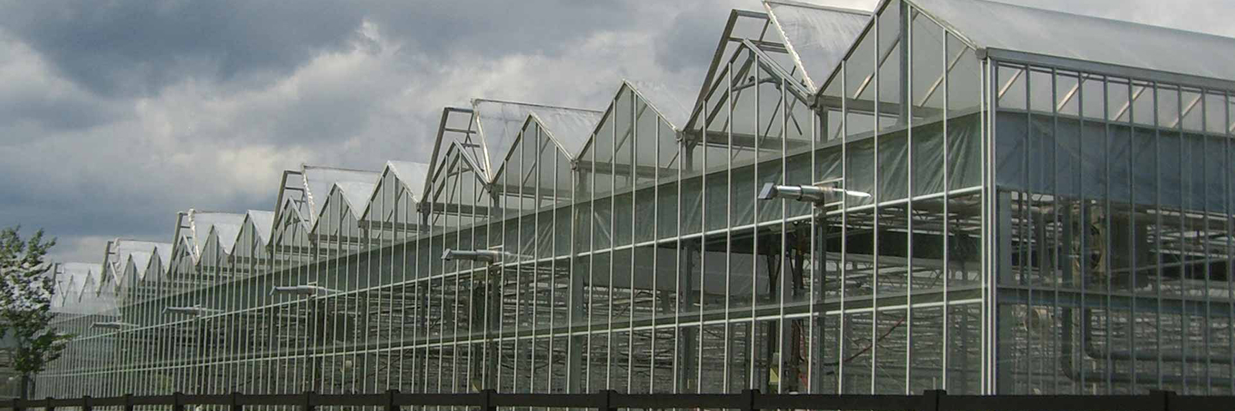 Venlo Glass Greenhouses GrowSpan
