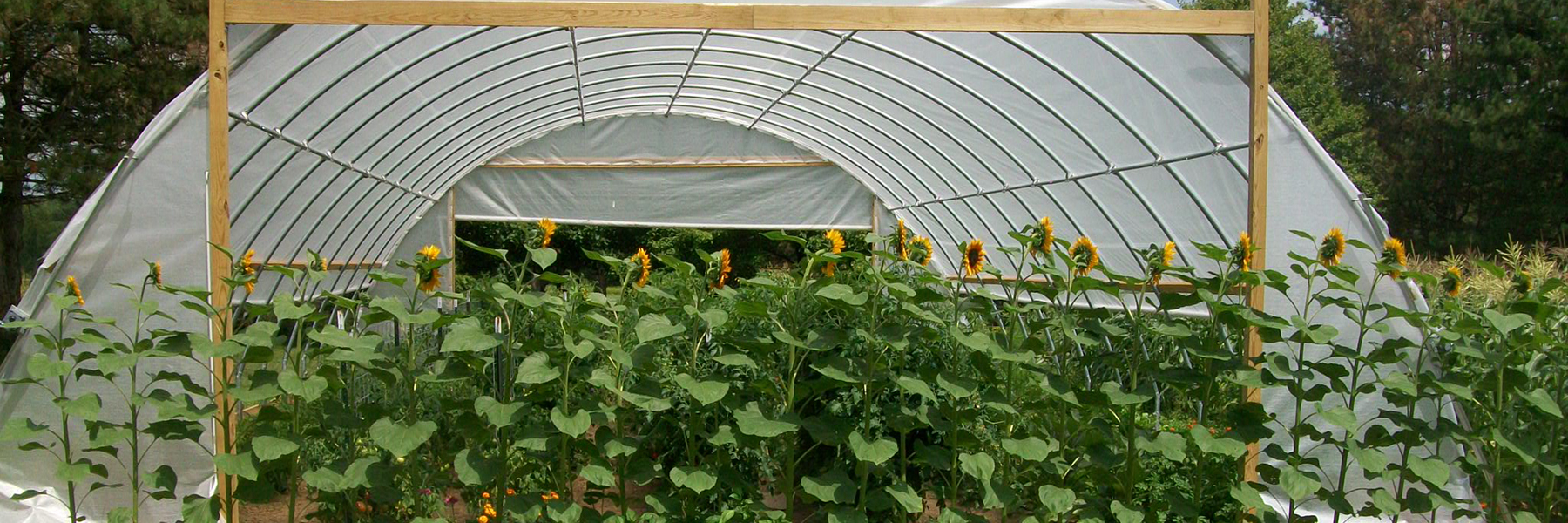 hoop greenhouse kits