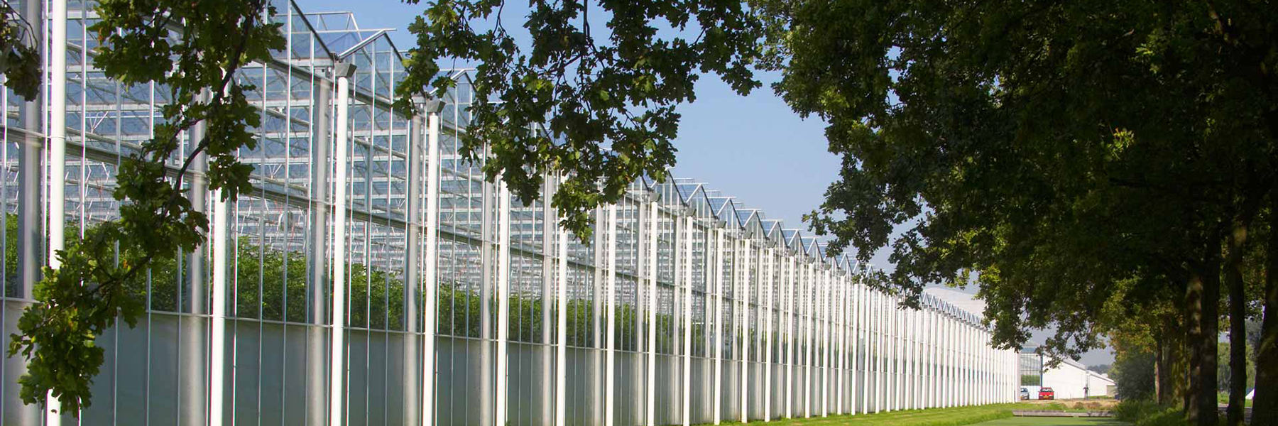 Venlo Greenhouse Row