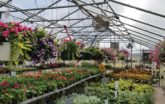 Mount Vernon Greenhouse