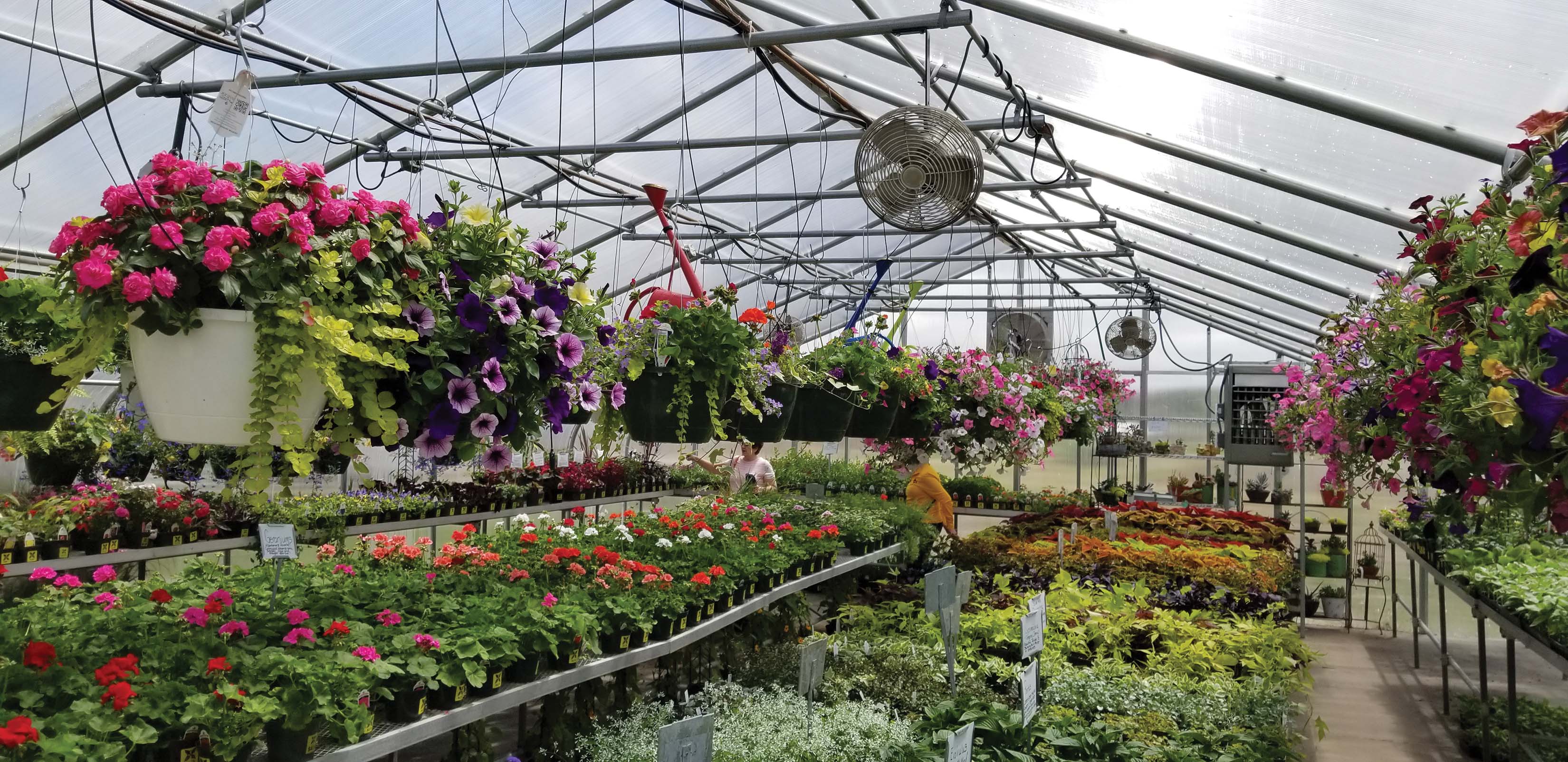 Preparing for the Cold How to Winterize a Greenhouse GrowSpan