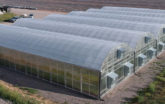 Blue Dog Hemp Greenhouse