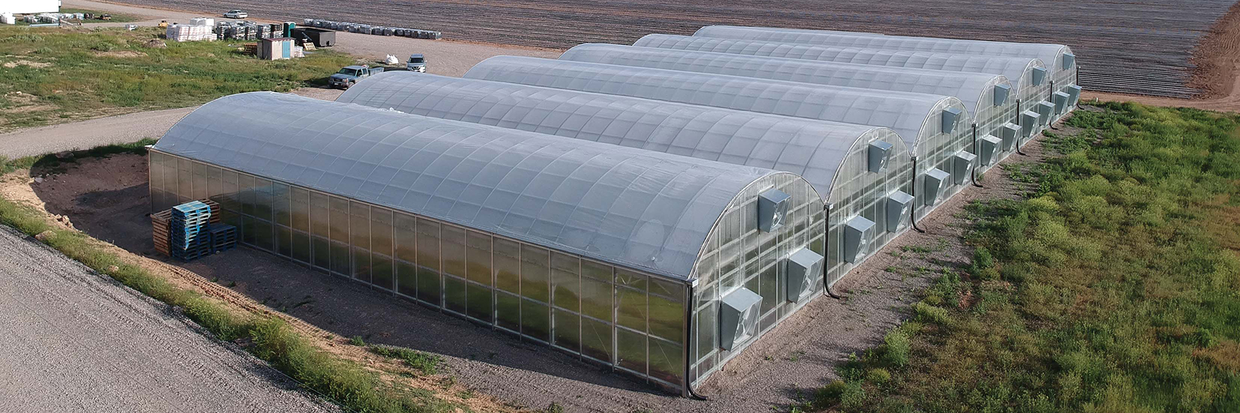 Blue Dog Hemp Greenhouse