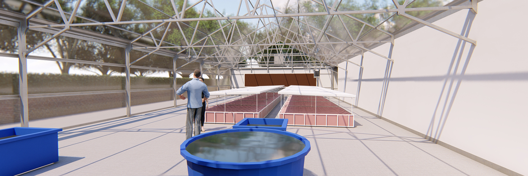 aquaponics setup