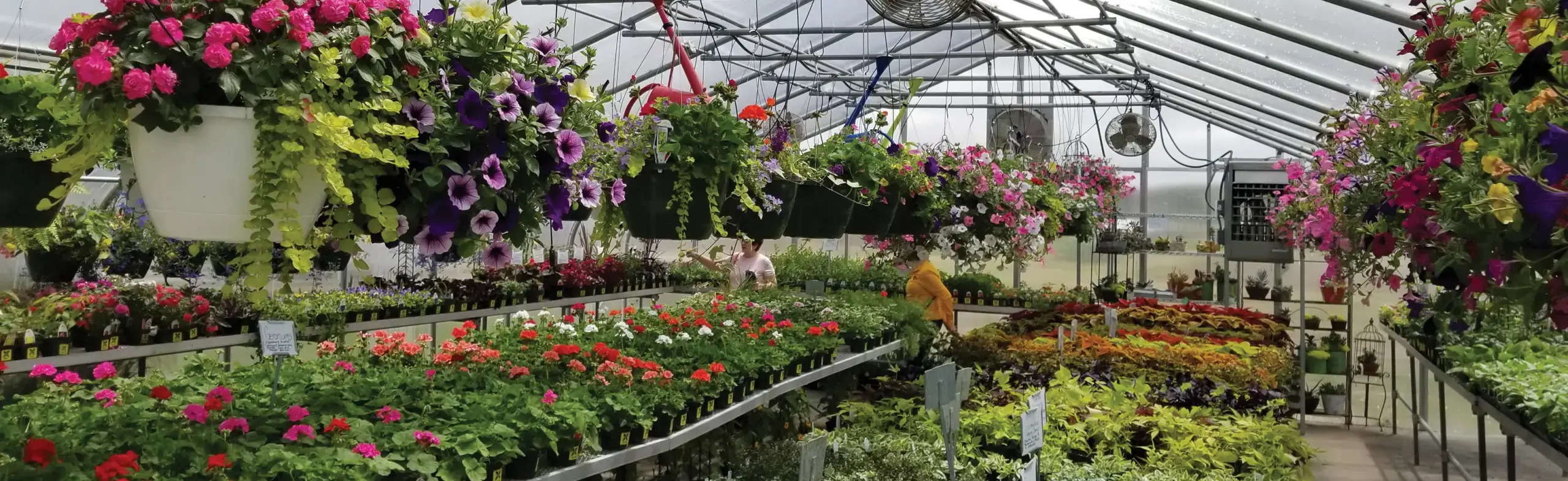 inside of winterize greenhouse with heater hanging