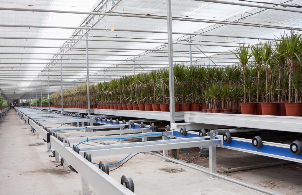 Rolling Benches in a greenhouse