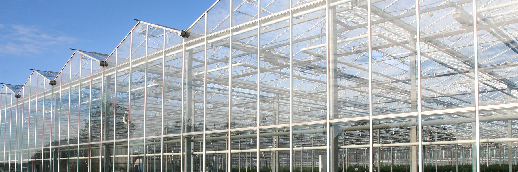 Glass Venlo Greenhouse Outside view