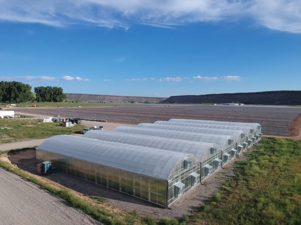 outside commercial greenhouse