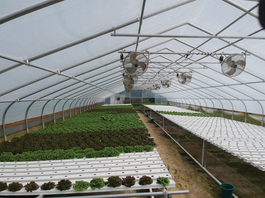 Ventilation inside Greenhouse