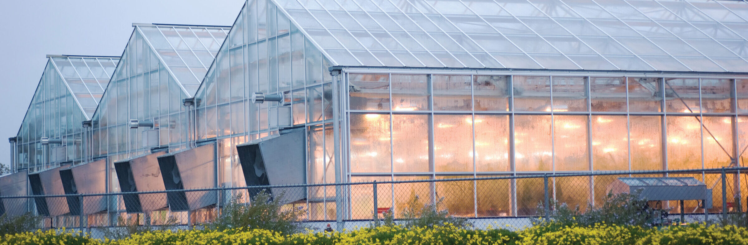 industrial greenhouse in davis