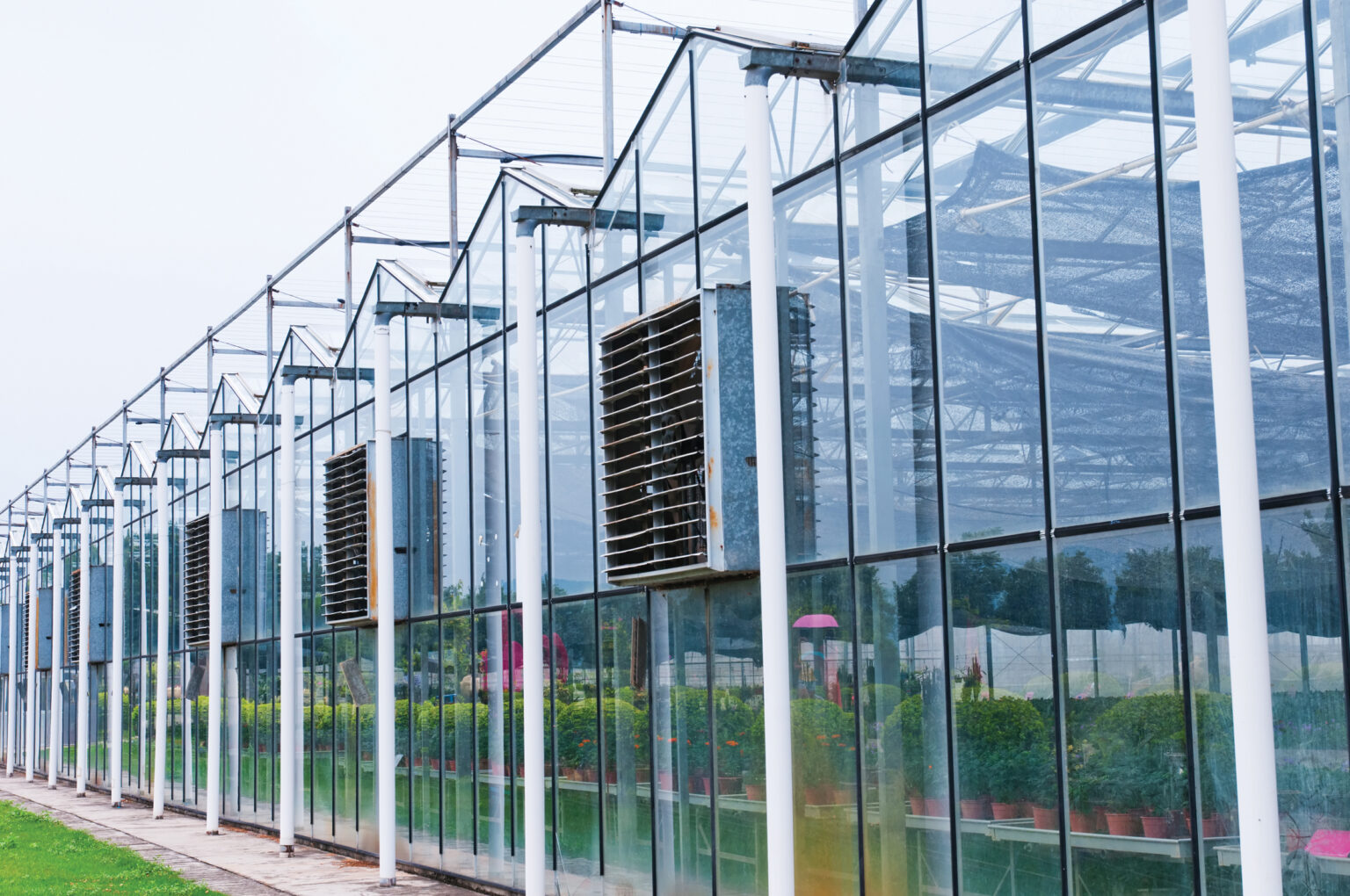 How A Polycarbonate Greenhouse Kit Can Improve A Grow Op GrowSpan