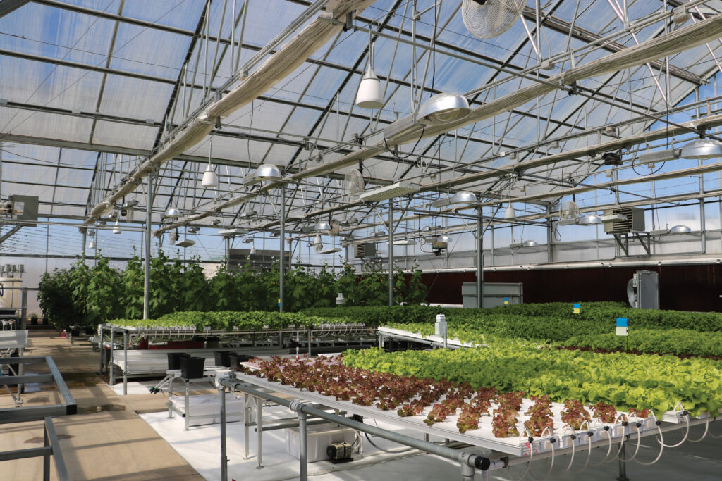 polycarb greenhouse interior