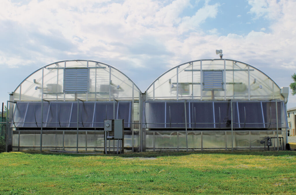 hydroponic greenhouse plans