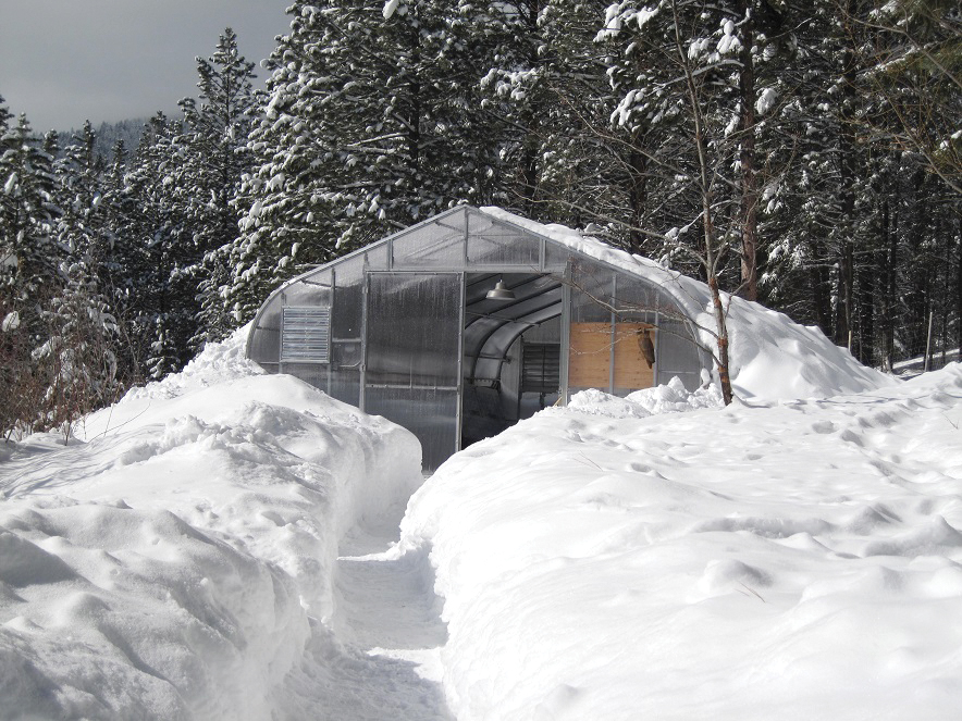 Greenhouse In The Snow