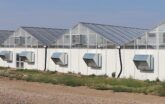 Exterior of S2000 Greenhouses Growing Hemp